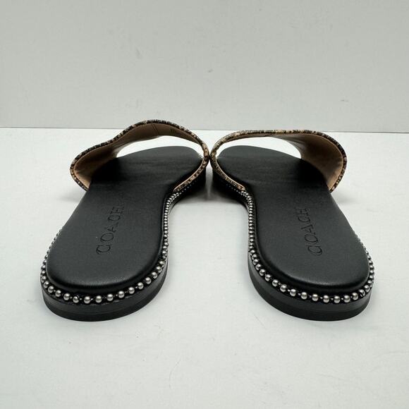 Coach | Women's Hayden Reptile Print Beadchain Flat Slide Sandals - Picture 5 of 10